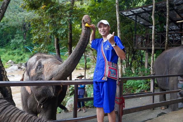 兰纳水灯节疗愈之旅，泰国清道大象训练中心｜和大象做朋友的一天
