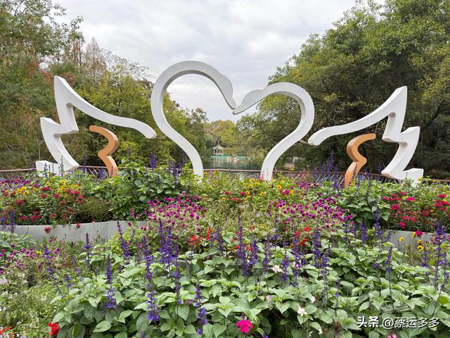 上海动物园的高颜值图鉴