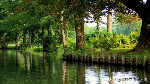 夫妻相处：退休后仍愿意一起旅行的伴侣，通常是这三类人！