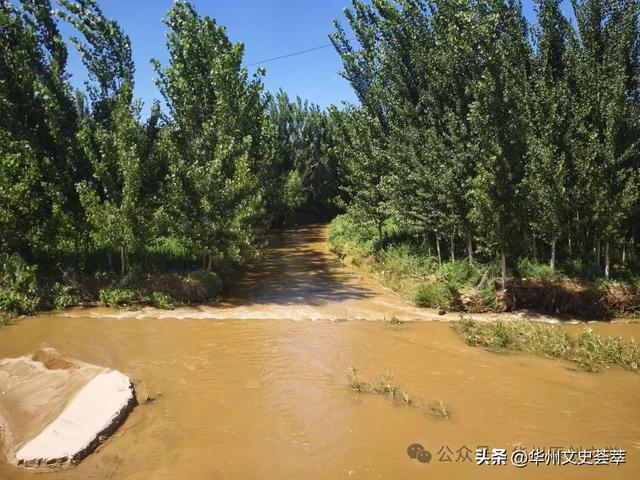 华州桥上桥网红乘凉地今安在？
