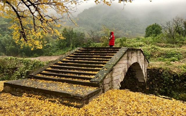 义乌杨典桥：见证抗日烽火，僧俗灭寇，记录红色文化，谱抗战篇章