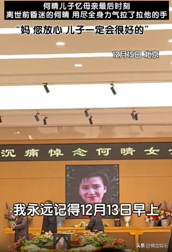 儿子哽咽向何晴承诺会好好生活