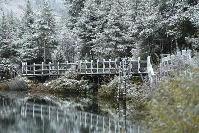 秋天的四姑娘山，我要给你五颗星！