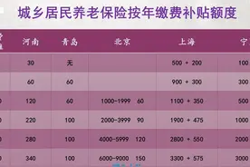 2025年居民养老缴费开启，60岁一次性补缴12万元，能领多少？图片
