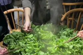 苏州豌豆头新鲜上市！维C含量高！图片