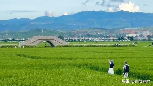 来稻田公园，赴一场与自然的温柔邂逅