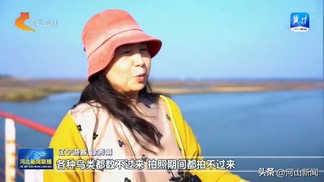 多彩假日 乐享河北丨赏秋景 品非遗 享丰收！河北文旅市场活力足
