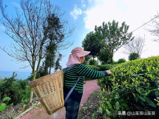 2023年春重庆探亲游（上篇）