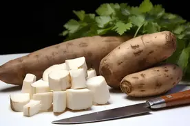 1千克就能致命，但却被当成“主食”端上餐桌，至今仍在大量种植图片