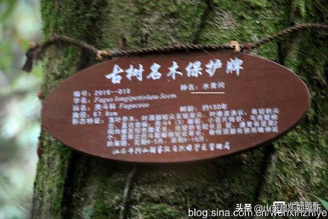 水口景区小记（江西之旅第八十八篇）