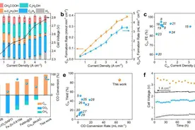 大连化物所汪国雄&高敦峰，最新Nature子刊！图片