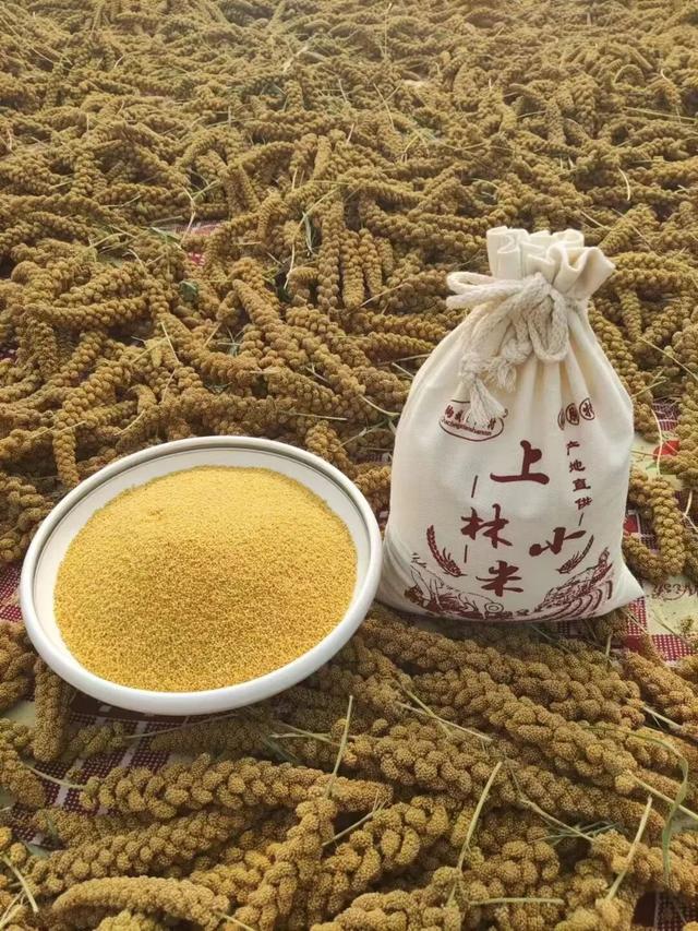 秋日来山旺，一起邂逅地质奇观与田园诗话！