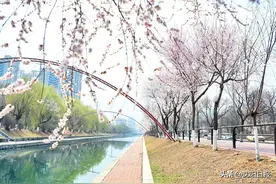 过敏不分年龄随时发病，若症状严重应即刻就诊图片