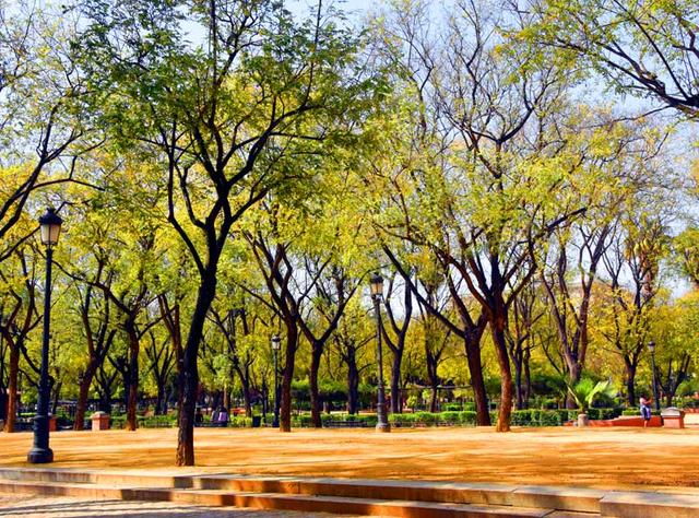 西班牙旅游：难忘从塞维利亚到直布罗陀行记（图）