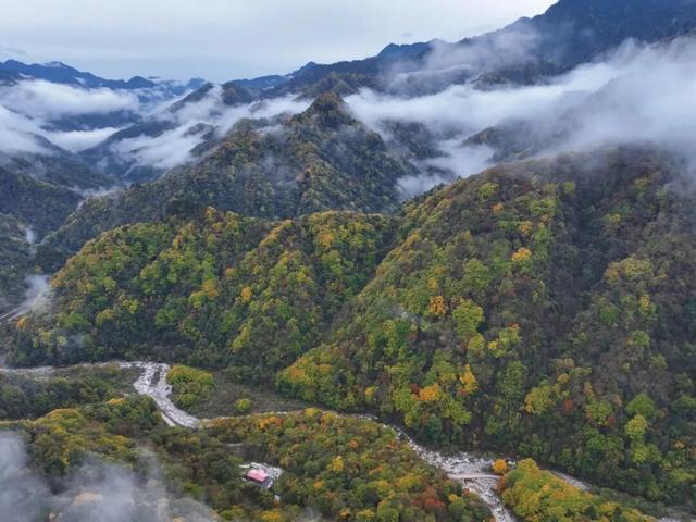 我竟然发现，唐家河红叶居然如此好看！