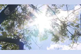 热到“发红发紫”？昆明的凉爽天气将维持到…图片