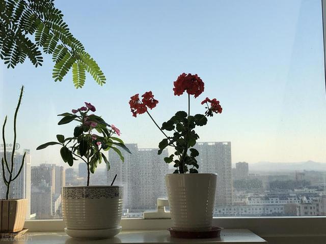我54岁，做生意30年，才突然明白：金钱的反噬能力太强了，要警惕