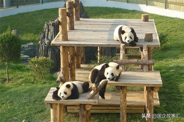 辽东半岛游记第六天，大连森林动物园