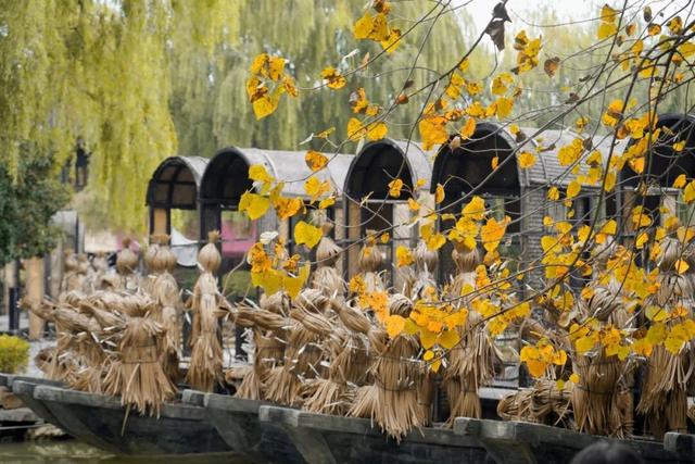 诸葛古镇冬日福利预告来啦！直播互动抽门票，文创盲盒藏惊喜