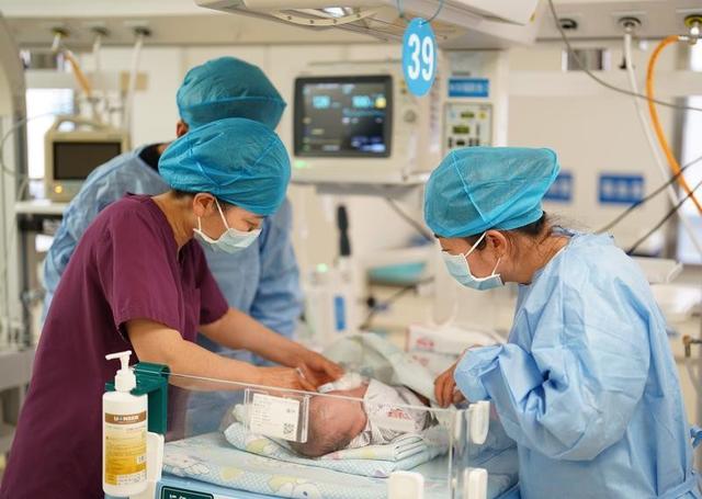 出生率拉响警报，广东出生人口113.3万全国第一，东北为何不愿生