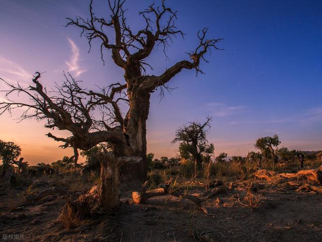 沙漠 | 不止西北！这些“家门口”的沙海颠覆你的认知