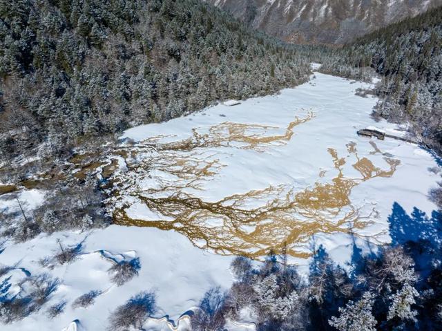秋色未央，冬韵已至：请欣赏黄龙的限定色卡