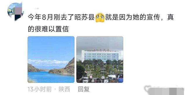 贺娇龙子女的有关情况被曝光 意外发生有原因 她为了拍视频太拼命！