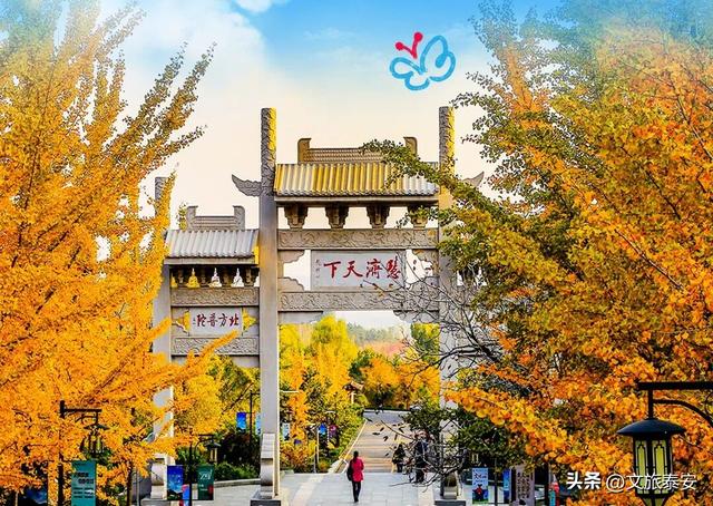 从栾树到彩林，每一步都是心动！新甫山向你发出赏秋邀请函~