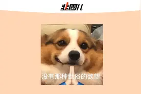 靠吃利息躺平的美梦，彻底没了图片