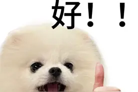 头疼脑热用好“一碗汤”，解决常见小毛病图片