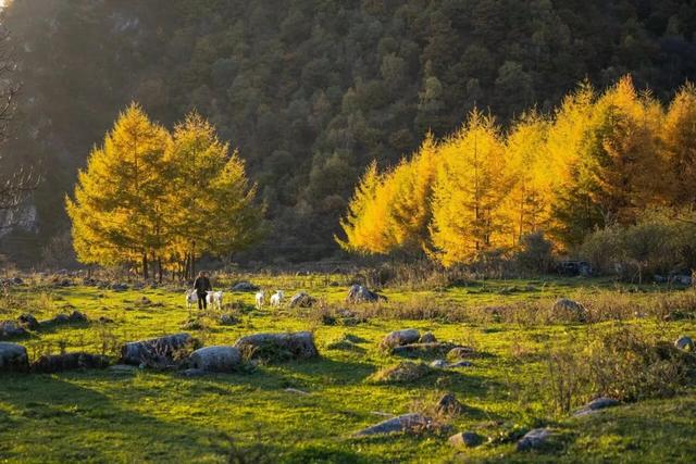 秋假不“宅家”!汉中这4条线路,承包你和孩子的秋日心动~
