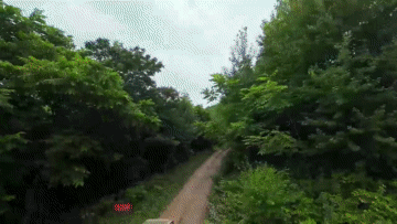 暑期嗨玩计划｜解锁松花湖度假区极致野趣