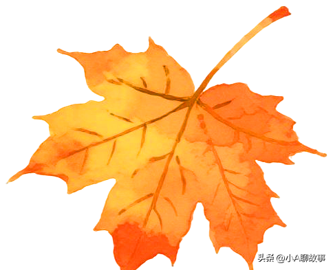 又一5A景区官宣永久免费！年入数亿，关键是秋天美到词穷！