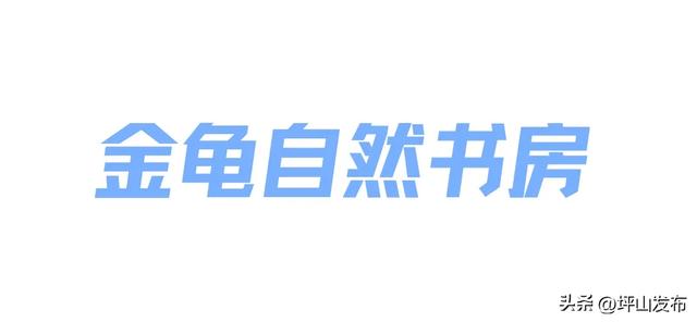 来!跟着《营救飞虎》回首深圳抗战热血往事,寻迹坪山红色路线
