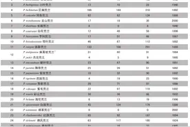 不可思议！中国兜兰属植物竟如此美丽！图片