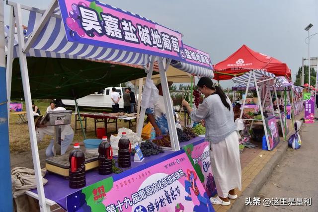当葡萄遇见音乐与汽车——郝家镇第十九届葡萄文化旅游采摘节玩出“新花样”