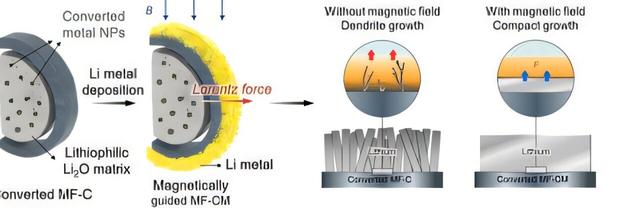 磁场驯服锂离子： 科学家用“隐形力场”终结电池爆炸噩梦