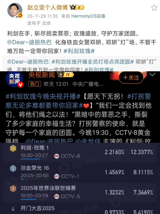 不会演别尬演！看《利剑玫瑰》迪丽热巴，把国家一级演员都演懵了