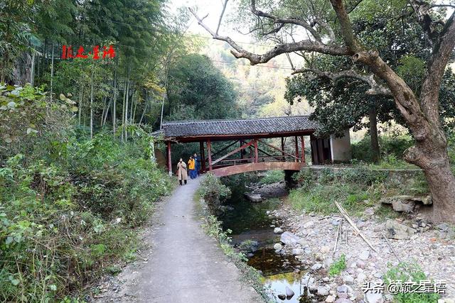 古桥、古村，银杏黄、芦苇荡，宁波城郊居然有这么美的赏秋地