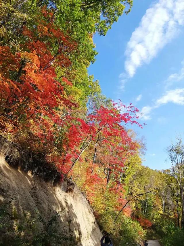 9-10月,去这些地方遇见最美的秋色