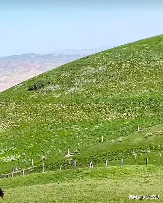南山南
