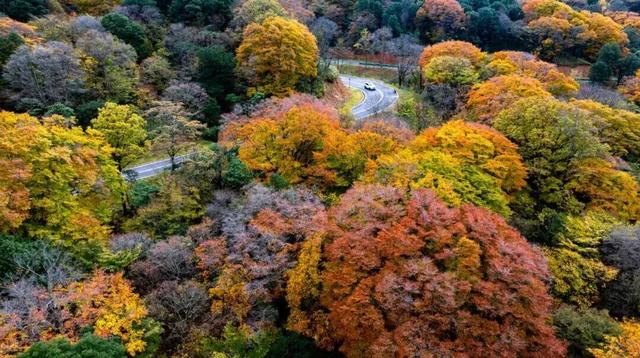 广元旺苍，倒也不必美得如此满分！！！