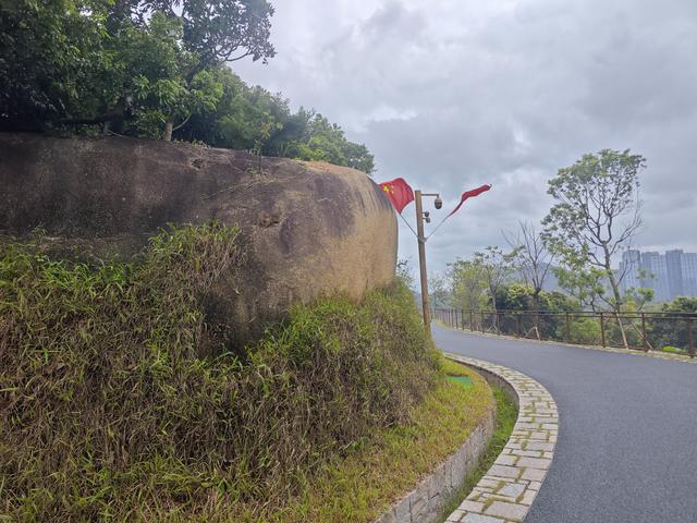 西丽湖国际科教城绿道高清随拍