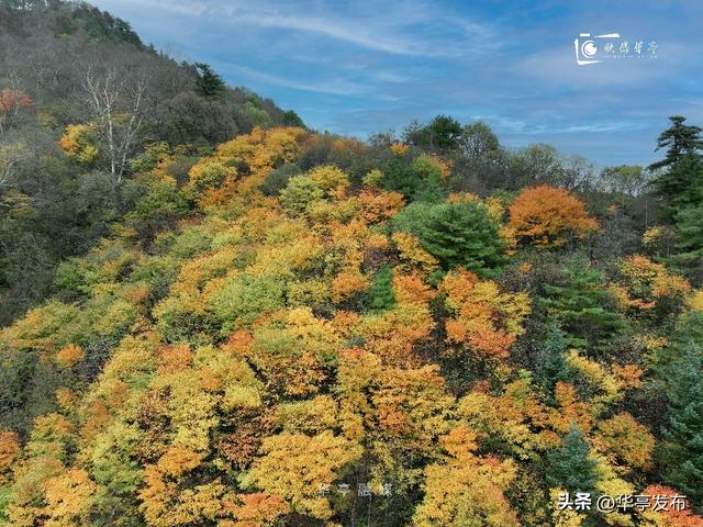 【映像华亭】华亭秋日，佐以人间烟火