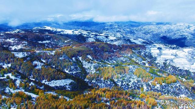 武山县四门麦山：秋红映雪