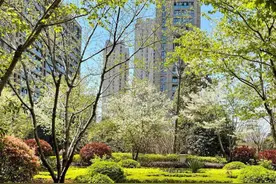 有一种痛苦叫买了2楼，卖不掉又不想住，彻底沦为“不动产”图片