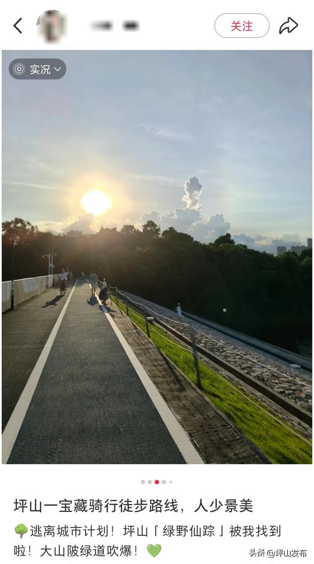 看完你的 看你的，坪山这片格桑花海承包你的秋日治愈感！