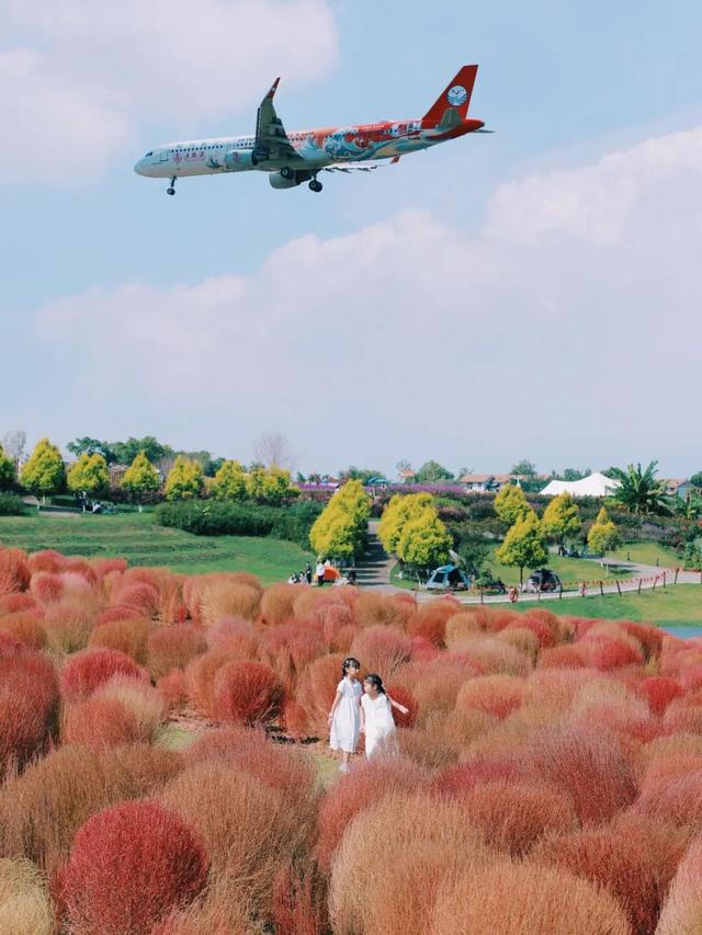 滴！赏秋“快递员”小园，持续为您派件→