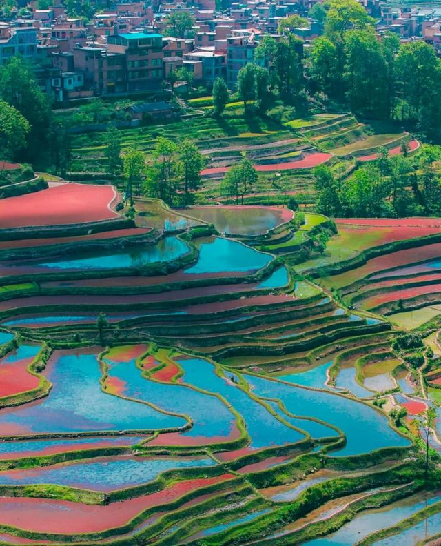 云上梯田浇灌千年农耕文化