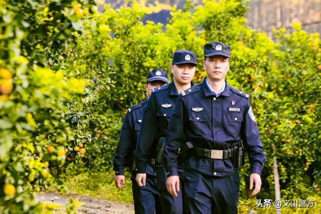 打卡文山最美秋冬，这份攻略千万别错过！